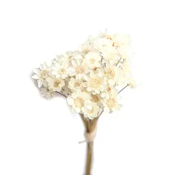 100 Izriet Dabas Sausie Ziedi Brazīlijas Mazo Zvaigzni Daisy Žāvētu Ziedu Dekoriem [4]