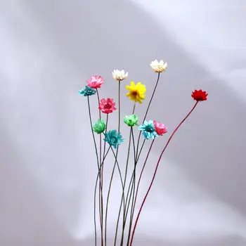 100 Izriet Dabas Sausie Ziedi Brazīlijas Mazo Zvaigzni Daisy Žāvētu Ziedu Dekoriem [4]