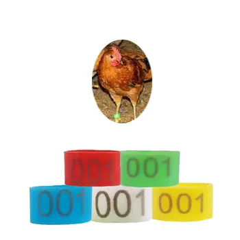 100GAB 5 Krāsas 16MM 001-100 Digitālo Mājputnu (Vistu, Pīļu, Zosu Plastmasas Sprādzi Kāju Gredzenu Mājputnu Identifikācijas
