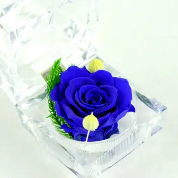 10pcs dabiski Kaltētu ziedu Multicolor roze ar akrila vāze Konservēti Ziedu kāzu dāvanu, mājas apdare, Vairumtirdzniecība