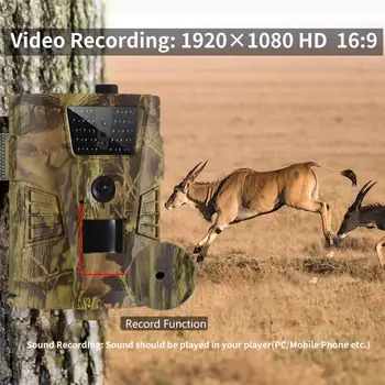 12 mp izšķirtspēja 1080P Taka Medību Kamera meža kameru Savvaļas Uzraudzības HT001B Nakts Redzamības Savvaļas dzīvnieku Izpētes Kameras Foto Lamatas Trase