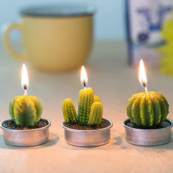 12pcs Mākslīgā Sulīgs Augu Kaktusu Svece Ģimenes Apdare, Dzimšanas dienas svinības, Kāzu Vietas, Dekoru Svecīšu Svētki Home M