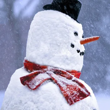 13PCS DIY Sniegavīrs Pieņemšanas Dekorēšanas Mērci Komplektu Ziemas Personu Bērniem Rotaļlietas Ziemassvētku Dāvanu Apdare