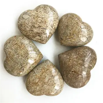 189g Dabas Pārakmeņoto Koka Fosilā Sirds Pulēta Kvarca Kristāla, Akmens Akmens A904 Akmeņi un Minerāli