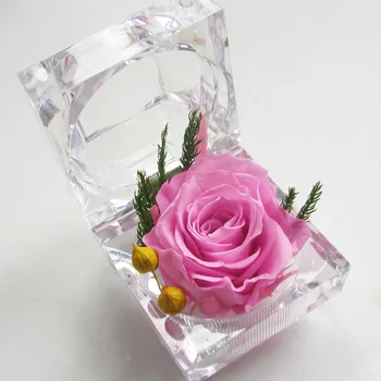 1gb dabiski Kaltētu ziedu Gredzenu lodziņu, Daudzkrāsains roze ar akrila vāze Konservēti Ziedu kāzu dāvanu, mājas apdare, Vairumtirdzniecība