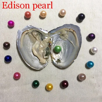 2019 DIY Edison Austeres Pērļu 9-12mm 16 Sajauc krāsas Saldūdens Dāvanu DIY Dabas Pērle Zaudēt krelles Rotājumi Vakuuma Iepakojumā