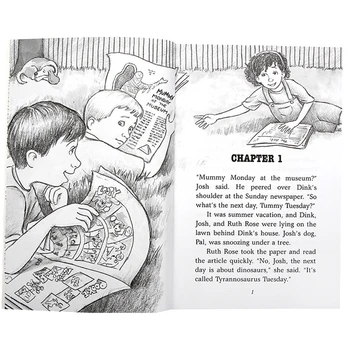 26 Grāmatas/set A Līdz Z Noslēpumus Ron Roy Bērnu Detektīvs Pamatojumu Jaunu Bērnu Pamatskolas Nodaļa Romānus angļu Grāmatu Komplekti