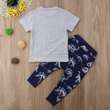 2gab Toddler Bērniem, Bērnu Zēnu Kokvilnas Topi, T-kreklu dinozauru Bikses garās Zeķes Apģērbs Apģērbs