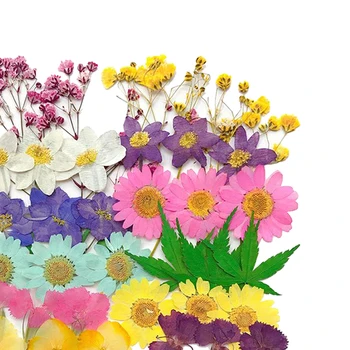 42Pcs Nekustamā sausie Ziedi Nospiests Lapas Izrotājumu Amatniecības DIY Sveķu Ziepes