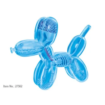 4D Mini Zila gaisa Balonu Suns Izlūkošanas Montāža Rotaļlietu Salikšana rotaļlietas Perspektīvas, Anatomijas Modelis DIY Popular Science Tehnika