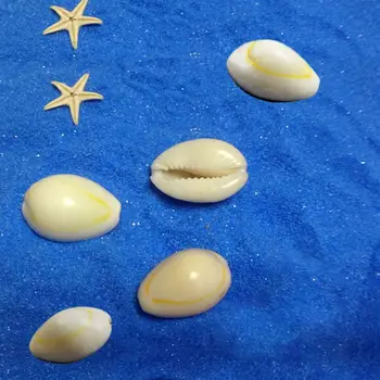 50gab Krēmveida Balta Dabas Sea Shell Zaudēt Krelles, Aksesuāri DIY Aproces gliemene