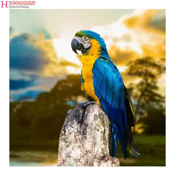 5D Dimanta Glezna, dzīvnieks, putns, Dzeltena, zila macaw DIY pilnu kvadrātveida Dimanta Izšūšanas darbi ar Dimanta Mozaīkas Cross Stitch apdare dāvanu