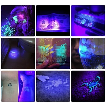 5W Mini UV Lukturīti 365nm Ultravioleto Blacklight USB Lādējamu Violeta Linternas Paklāju Pet Urīna Detektors Catch Scorpions