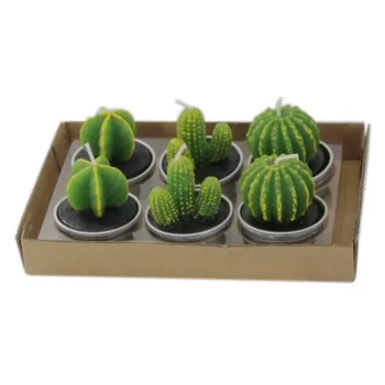 6pcs Mākslīgā Sulīgs Augu Kaktusu Sveces Uz Dzimšanas dienas svinības, Kāzu Vietnē Apdare Sveču gaismā, Dekoratīvie Piederumi