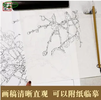 Analīze suku gong bi tehnika zīmēšanas grāmata Plūmju orhideju Izmērs: 41.6 x 27.8 cm