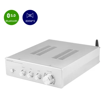 BRZHIFI TPA3255 Skaņas Pastiprinātāju 300W*2 Bluetooth 5.0 lieljaudas HIFI Stereo Pastiprinātāji D Klases Digitālā Audio Signālu Kontroles Amp