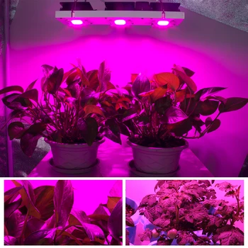 COB LED Augt Gaismas Pilna Spektra Faktiskā Jauda 50W 100W 150W 200W LED Augu Augt Lampas, telpaugi Dārzeņi & ziedēšanai