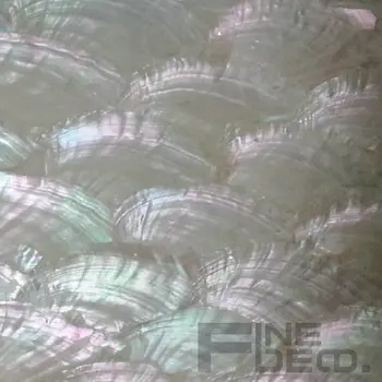 Dabīga krāsa ventilatoru formas abalone shell lapa zivju āķi apdare vai koka kastīšu izmērs 140x240mm tikai 1 lapu paraugu izmantošana