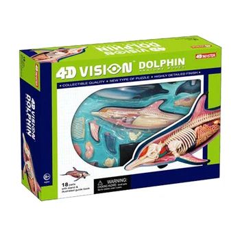 Delfīnu 4d master puzzle Montāža rotaļlietas Dzīvnieku Bioloģija orgānu anatomijas modelis medicīnas mācību modelis