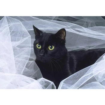 Diy 5D Dimanta Krāsošana ar Numuriem, Melns kaķis pet Dimanta Izšuvumi Krusta Slēdzis Komplektu Rhinestones dimanta mozaīkas Pārdošana jaunu 2020