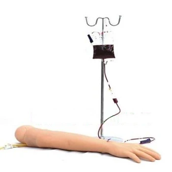 Dzīves Izmēra Anatomiski asins nolaišana Venipuncture Prakses Roku anatomyInjection prakses Medicīnas Simulators Māsu Apmācības komplektu
