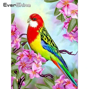 EverShine 5D Dimanta Krāsošana Pilnu Kvadrātveida Putnu Priekšstatu Par Rhinestones Dimanta Mozaīkas Dzīvniekiem Cross Stitch Krelles Izšūšanas Komplekti