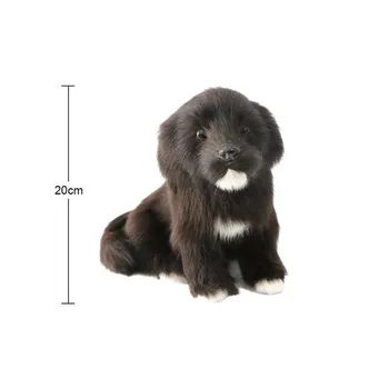 Gudrs Simulācijas Maz Melns Suns Modelis Rotaļlietas Mīkstās Apdares Kolekcija Pet Plīša Lelles Suņu Lelle Mājas Fotogrāfija