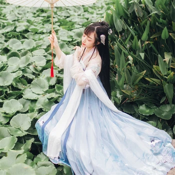 Hanfu Kleita Sievietēm Pasaku Tradicionālā Ķīniešu Kostīms Krāns Drukāt Vintage Jauno Gadu Drēbes Tautas Dejas Ķīniešu Princese Cosplay