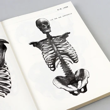 Izprast Cilvēka veidolā Praktiski Skiču Anatomijas Grāmatu , Pasaules Glezniecības Klasisko Apmācība, National Academy of Fine Arts, Parīze