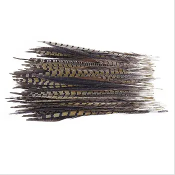 Jauns 10-100gab/daudz Dabas Ringneck Fazānu/Vistas Asti Feather45-50cm Diy turcija spalvas amatniecības Kāzu dekorēšana plumas