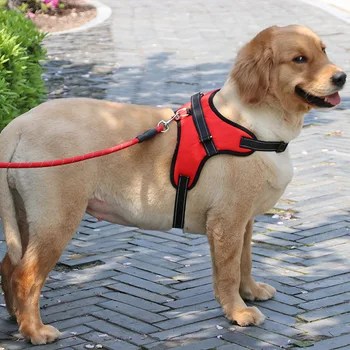 Jaunu pet izstrādājumu suns vilkšanas virves suns virvi, krūšu siksna K9 zelta matu vidējo un lielo suņu ķēdes