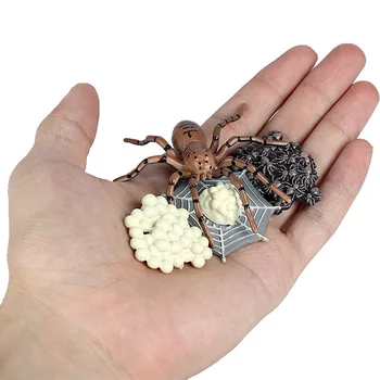 Karstā Pārdošanas Kukaiņu, Dzīvnieku Modeļa Simulācijas Spider Augšanas Cikla Darbības Figūras Miniatūras Izziņas Izglītības Rotaļlieta bērniem, Dāvanu