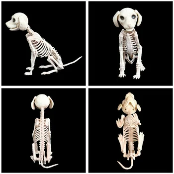 Kaķu un Suņu Skelets Rotājumi Halloween Šausmu Rotājumi Plastmasas Dzīvnieku Kauli Puse Brīvdienu Piliens Kuģniecība