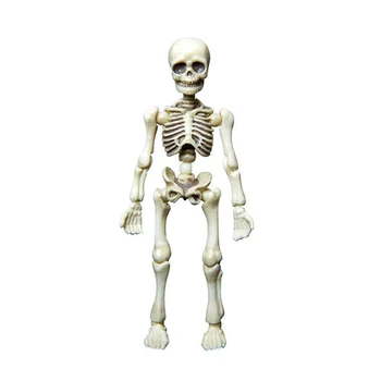 Kustamā Mr Kauli, Skelets Cilvēka Modeli, Tēvs, Zīdaiņu Galvaskausa Pilna Ķermeņa Rīcības Attēls Modelis Rotaļlietas Lelle, par Kolekcionējamu Rotaļlietu Dāvanu