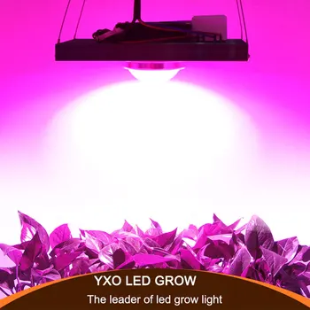 LED augt gaismas 100/200/300/400/500W Pilna Spektra Iekštelpu Siltumnīcefekta augt telts augi aug led gaismas, Dārzeņi Bloom režīmā