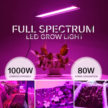 LED Augt Gaismas 1000WFull Spektra Augstu Gaismas Efektivitāte Fito Lampas Iekštelpu Telts Siltumnīcefekta Hidroponiskas Augu Ziedu