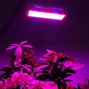 LED Augt Gaismas 300W Fito Lampas Pilna Spektra Augt Lampas Iekštelpu Stādus Telts Siltumnīcefekta Ziedu Fitolamp Augu Augšanas Lampas
