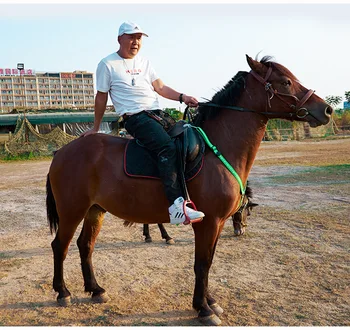 LED Zirgu Izjādes Jostas Ūdensnecaurlaidīga Neilona Zirgu Krūškurvja Jostas Nakts Redzams Breastplate Equitation Apgaismojums Jāšanas Iekārtas