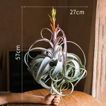 Lielo izmēru jaunas ielidošanas mākslīgo gaisu augu Tillandsia mākslīgo augu sulīgs Ananass lapu