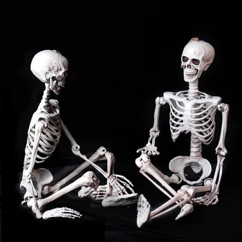 Maksimālais Piegādātājs 1gb Halloween Prop Cilvēka Skelets Pilna Izmēra Galvaskausa Roku Dzīvi Ķermeņa Anatomiju Modelis Rotājumi Halloween d3