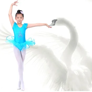 Meitenes, Baleta Kleita Princese Vingrošana Dejas Valkāt Sniegumu Deju Kleitu Dejotājs Leotard Īsām Piedurknēm Kleita Baleta W3
