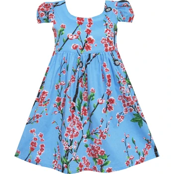 Meitenes Kleita Zilā Ziedu Īsām Piedurknēm Puse, Dzimšanas Dienas Bērnu Kokvilnas 2020. Gada Vasaras Princese Kāzu Kleitas, Bērnu Drēbes Gājienā