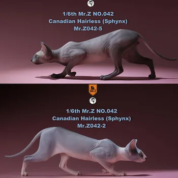 Mr. Z 1/6 Kanādas Nr. 040-BS Matiem Kaķis Sfinksu Simulācijas Modelis, Rotaļlietas Dzīvnieku Statiskā Modeļa 12 