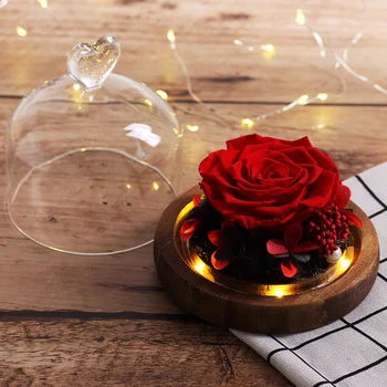 Mājas Dekori Skaistums un Zvērs Nekustamā Pieauga Stikla Kupola LED Ekskluzīvas Žāvētu Ziedu Kāzu Valentīna Diena Ziemassvētku Dāvanas