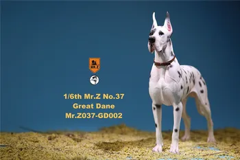 Noliktavā 1/6 Skatuves Piederumi Mr Z MRZ037 vācijas Great Dane 6 krāsas Pet Suns Modeli Dzīvnieku Attēls Modelis Rotaļlietas 12
