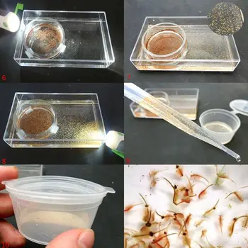 OOTDTY 1 Uzstādītu Akvāriju Garneļu Inkubatora Komplekts Sālījumā Garneļu Olu DIY Lūka Rīku Inkubators