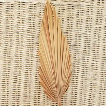 Palmu Fanu Lapu Žāvētu Ziedu, dabiski Kaltētu Palmu Lapu Ventilators Augu DIY Puse Art Sienas Karājas Kāzu Dekori