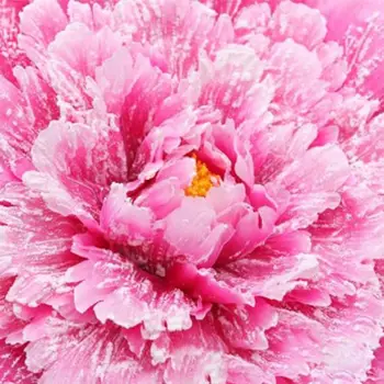 Peonija Mākslīgie ziedi Dejas aksesuārus imitācijas ziedu Deju aksesuārus Puses - puķu bērnu butaforijas