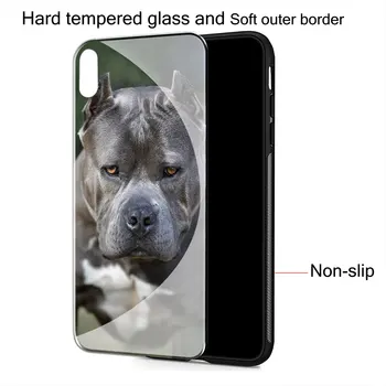 Pitbull Buldogs suns, Rūdīta Stikla Vāks iPhone 11 Pro XR-X XS Max 7 8 6 6s Plus 5S SE 2020. gadam Telefonu Gadījumā
