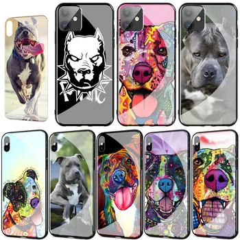 Pitbull Buldogs suns, Rūdīta Stikla Vāks iPhone 11 Pro XR-X XS Max 7 8 6 6s Plus 5S SE 2020. gadam Telefonu Gadījumā